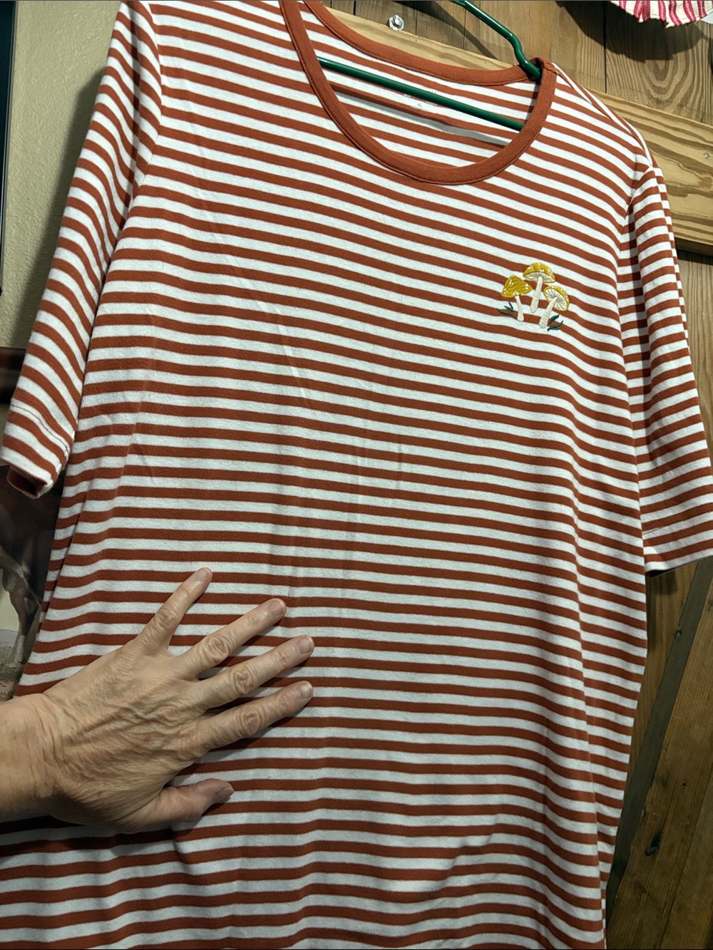 Duluth Trading Co Rust and White Striped Knit Tee - Picture 3 of 5